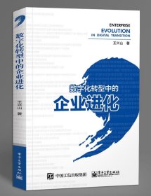 数字化转型中的企业进化 王兴山电子工业出版社9787121369599