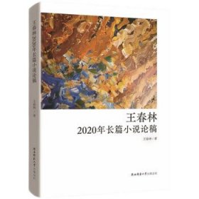 王春林2020年长篇小说论稿 王春林陕西师范大学出版总社有限公司9