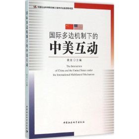 国际多边机制下的中美互动 袁征中国社会科学出版社9787516171158