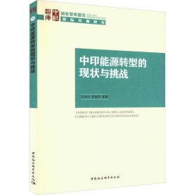 中印能源转型的现状与挑战 王永中中国社会科学出版社