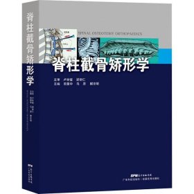 脊柱截骨矫形学 田慧中广东科技出版社9787535970091