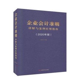 企业会计准则详解与案例应用指南(2020年版)(精) 黄雨三中国言实