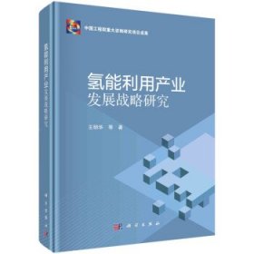 氢能利用产业发展战略研究 王明华科学出版社9787030728197