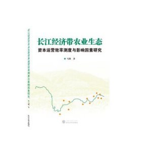 长江经济带农业生态资本运营效率测度与影响因素研究 马艳武汉大
