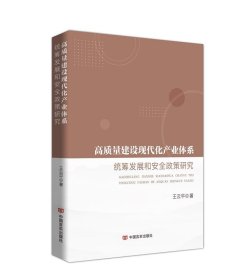 高质量建设现代化产业体系:统筹发展和安全政策研究 王云平中国言