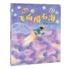 《飞向陨石海》 青石四川人民出版社9787220130007