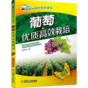 葡萄优质高效栽培 单守明机械工业出版社9787111521075