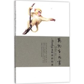 Monkey的私房彩铅课:万物生·凡灵 王俊宇 著石油工业出版社有限