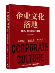 企业文化落地：路径、方法与标杆实践 王旭东电子工业出版社