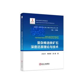 复杂难选铁矿石深度还原理论与技术 孙永升,韩跃新,高鹏冶金工业