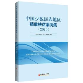 中国少数民族地区精准扶贫案例集(2020) 张丽君中国经济出版社