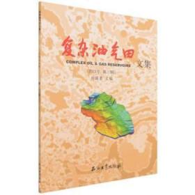 复杂油气田文集(2021年第3辑) 刘国勇石油工业出版社