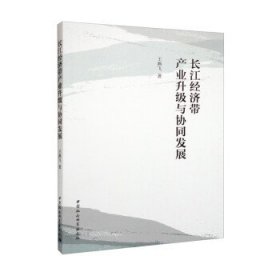 长江经济带产业升级与协同发展 王燕飞中国社会科学出版社