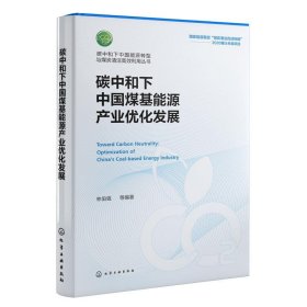 碳中和下中国煤基能源产业优化发展 林伯强化学工业出版社