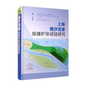上海横沙浅滩保滩护岸成陆研究(精) 9787547854662 包起帆 上海科