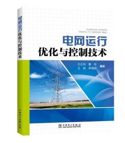 电网运行优化与控制技术 王正风 董存  李瑞超中国电力出版社