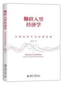 鞭辟入里经济学:中国改革年代的新思维:economics of Chinese ref