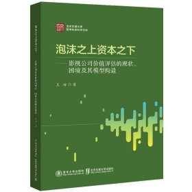 泡沫之上资本之下：影视公司价值评估的现状、困境及其模型构造