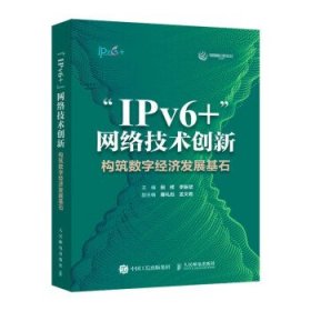 “IPv6+”网络技术创新：构筑数字经济发展基石 田辉,李振斌人民