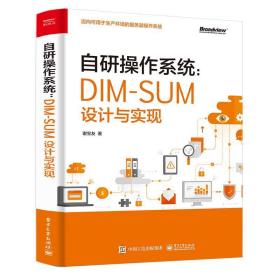 自研操作系统：DIM-SUM设计与实现 9787121391866电子工业出版社