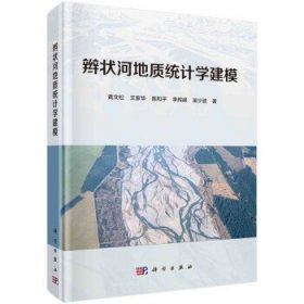 辫状河地质统计学建模 黄文松科学出版社9787030637963