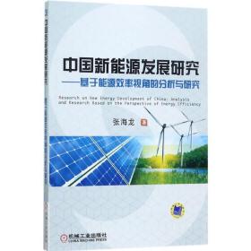 中国新能源发展研究:基于能源效率视角的分析与研究:analysis and