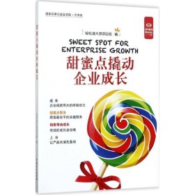 甜蜜点撬动企业成长：大字版 轻松读大师项目部中国盲文出版社