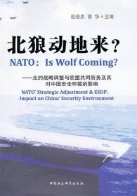 北狼动地来？:北约战略调整与欧盟共同防务及其对中国安全环境的