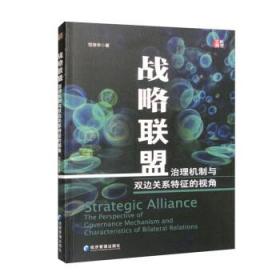 战略联盟:治理机制与双边关系特征的视角 范培华经济管理出版社