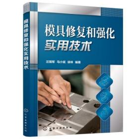 模具修复和强化实用技术 汪瑞军,马小斌,徐林化学工业出版社