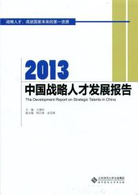 2013中国战略人才发展报告 王建民北京师范大学出版社