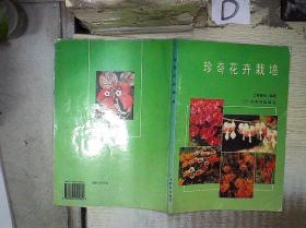 珍奇花卉栽培-‘ 。、. /黄智明 广东科技出版社 9787535913982