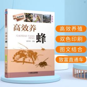 高效养蜂 养蜂技术书籍 科学饲养技术大全 蜜蜂养殖技术书籍 中蜂饲养手册 实用技术 高效养蜂实例教程 养蜜蜂的书