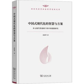 中国式现代化的智慧与方案 多元现代性视阈下的中国道路研究