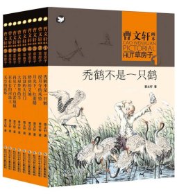曹文轩画本