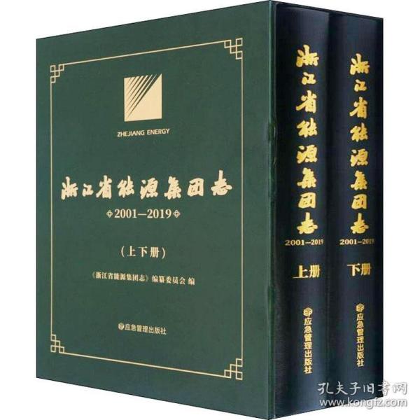 浙江省能源集团志(2001-2019上下)(精)