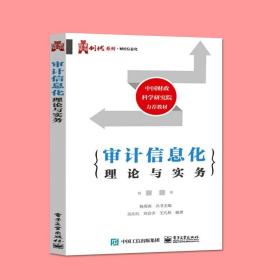 官方正版 审计信息化理论与实务 风险控制与审计 计算机审计IT审计技术专业教材书籍