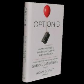 Option B 桑德伯格B计划 Facebook Sheryl Sandberg英国版精装本