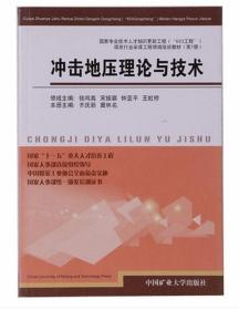 冲击地压理论与技术 专业技术人才知识更新工程“653”工程 齐庆新 窦林名编 矿业大学出版社