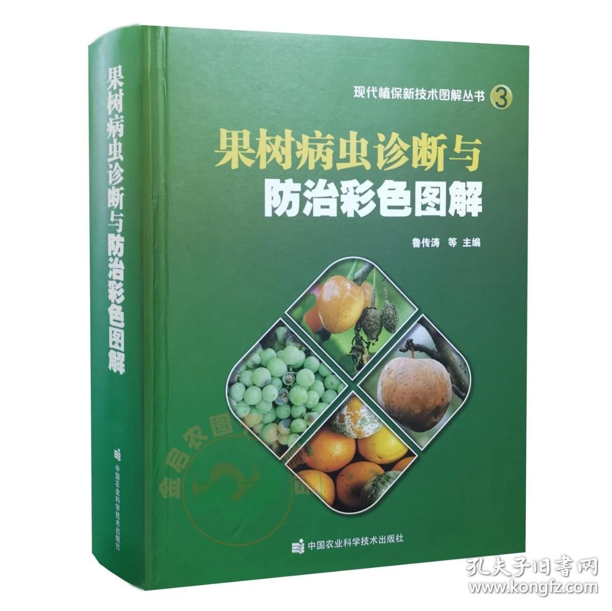 寒富苹果：成就舌尖上的秋季盛宴
