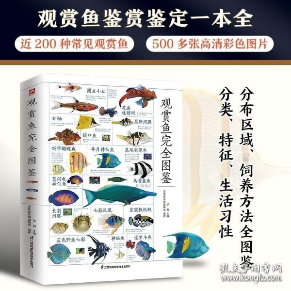 海洋保护宣传的力量：共创美好明天