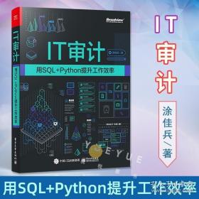 正版 IT审计 用SQL Python提升工作效率 数据可视化技巧图书籍 Python基础入门实战技巧学习教程教材 涂佳兵电子工业出版社
