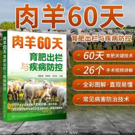 肉羊60天育肥出栏与疾病防控 肉羊生产概况 养羊技术书籍大全 肉羊养殖技术 羊病诊断与防治 正版书籍 羊病治疗全书养肉羊肥羊的书