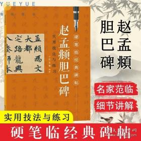 硬笔临经典碑帖 赵孟頫胆巴碑 实用技法与练习经典字帖书籍 硬笔书法入门教程 钢笔字帖田字格 江西美术出版社