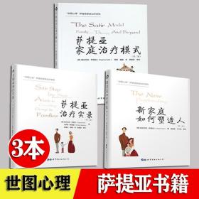 萨提亚家庭治疗模式 萨提亚实录 新家庭如何塑造人 全3册 维吉尼亚·萨提亚 家庭师 心理咨询师 心理萨提亚家庭系列