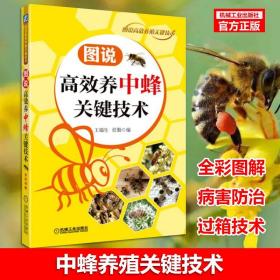 图说高效养中蜂关键技术 养蜂书中华蜂土蜂中蜂饲养新技术 中蜂养殖技术 养蜂技术养蜂书养蜂蜜蜂 蜜蜂养殖技术大全书 养蜂技术书