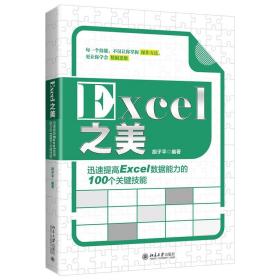 Excel之美 迅速提高Excel数据能力的100个关键技能 胡子平 著 北京大学出版社 运用Excel进行数据处理和分析的思路和经验书籍