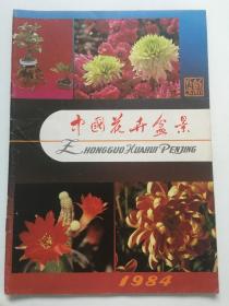 中国花卉盆景创刊号 （1984年）16开32页+插页一张