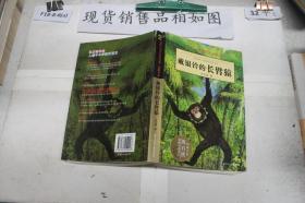 戴银铃的长臂猿