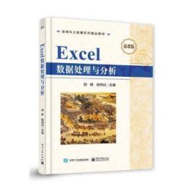 RT正版速发 Excel数据处理与分析郭晔电子工业出版社9787121450655